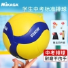 mikasa米卡萨（mikasa） 排球男女成人训练用球标准5号TPU材质 V355W